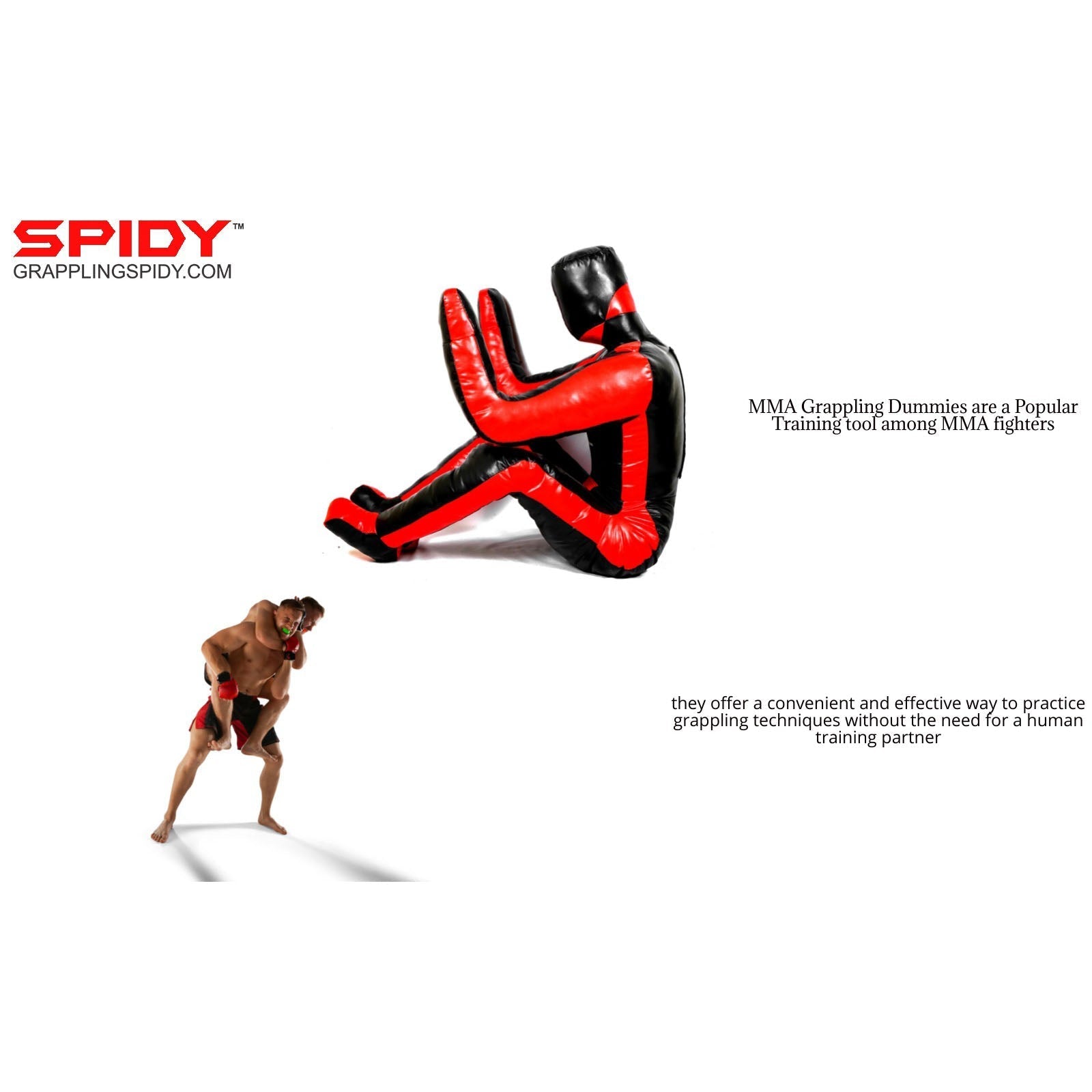Sitting MMA Grappling Dummy – BJJ, Wrestling, Judo & Martial Arts Training - Spidy